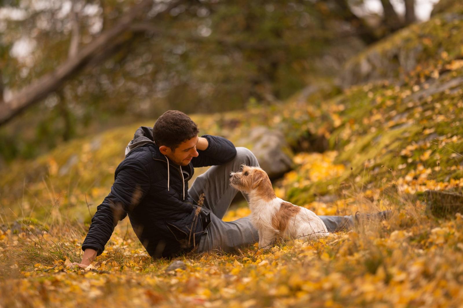 A man and a dog sitting on autumn leaves in a forest, looking at each other affectionately.