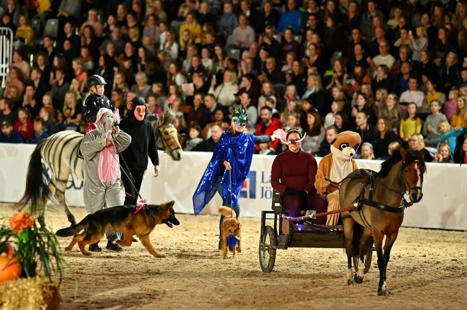 People dressed in animal and costume outfits in a horse arena with a large audience in the background.
